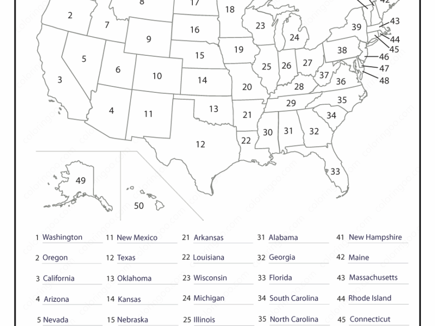 22 SS Ideas In 2025 Homeschool Social Studies 5th Grade Social Studies Social Studies Worksheets