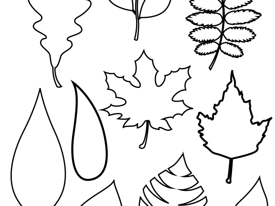 37 Printable Leaf Templates Outlines Shapes Free World Of Printables