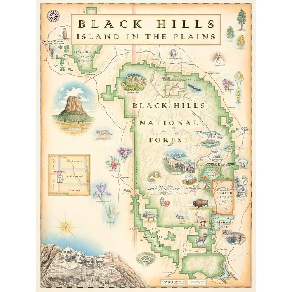 Amazon Black Hills National Forest Map Poster Mount Rushmore Devils Tower 18x24 Vintage Style Lithographic Print Made In USA Office Products