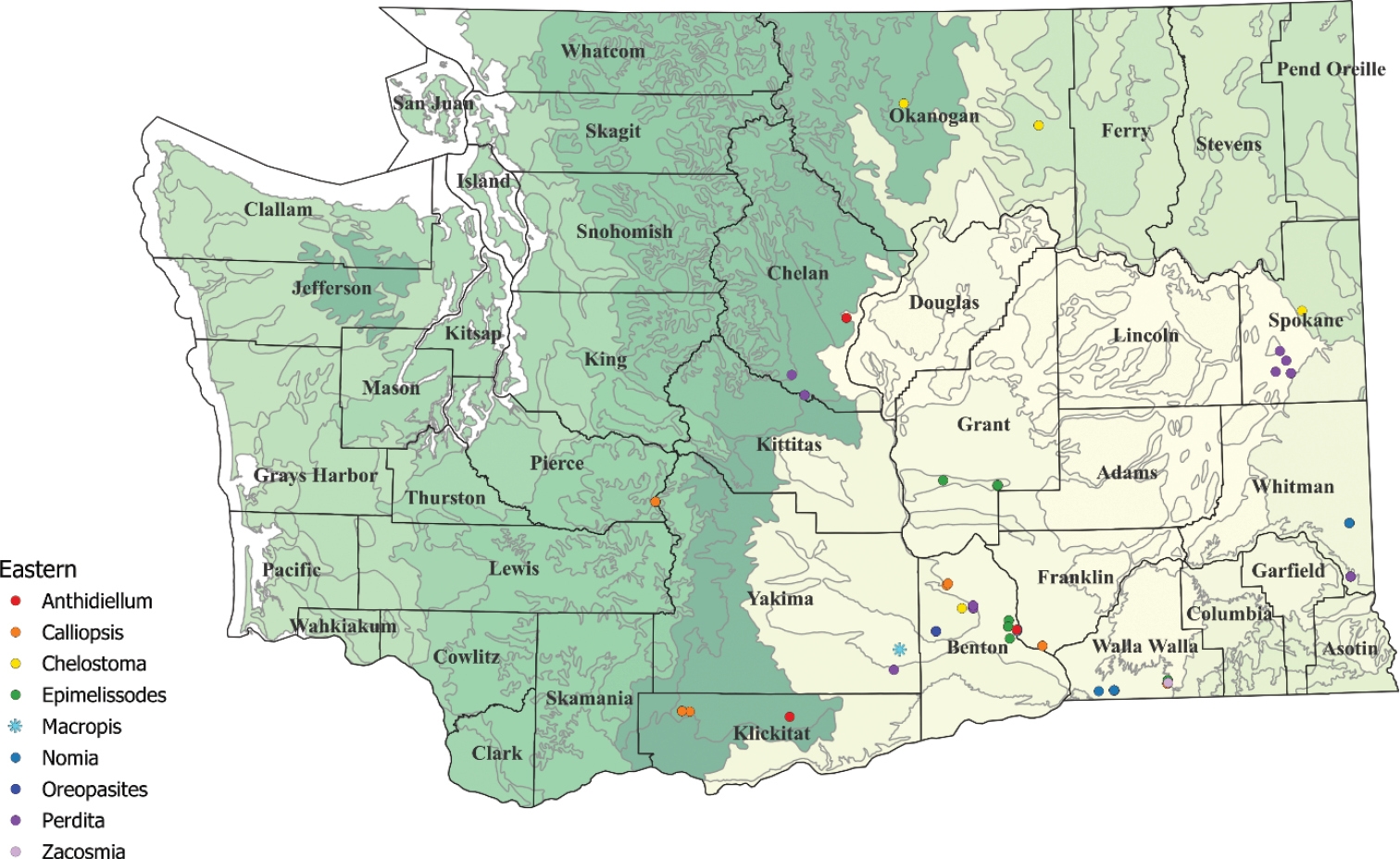 Washinton State Map Printable First Grade