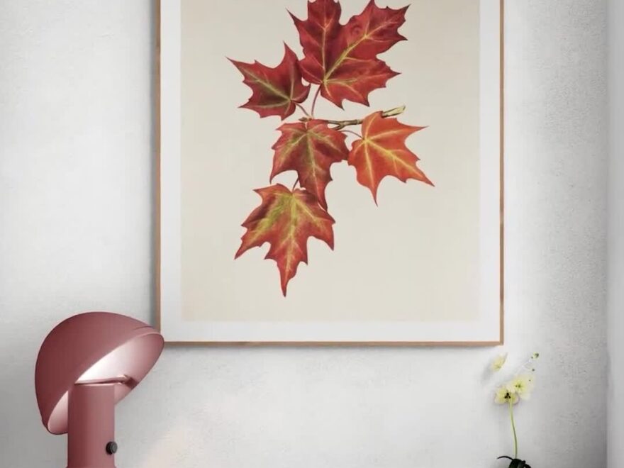 Autumn Maple Leaf Print High Resolution Printable Fall Image Seasonal Home Decor Realistic Red Leaves Illustration Instant Download Art Etsy