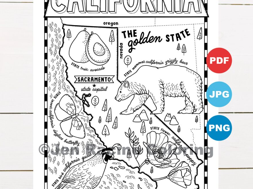 California Coloring Page United States State Map Wildlife State Symbols Flowers Coloring Pages Etsy