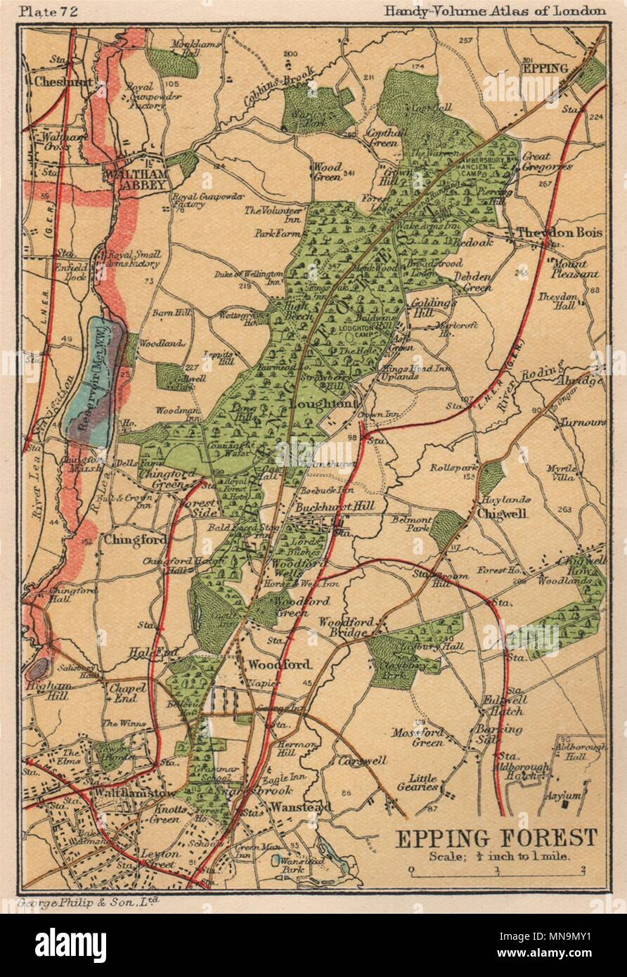 Free Printable Vintage Forest Map