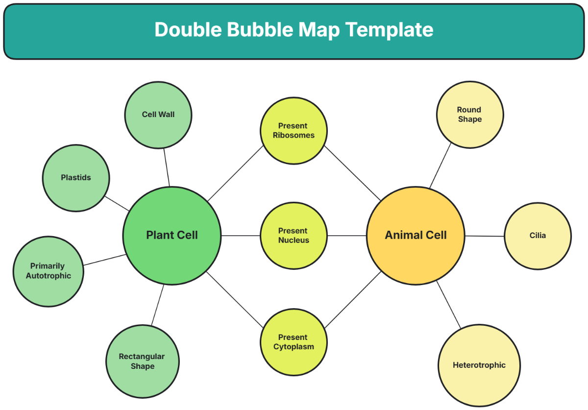 Free Printable Double Bubble Map