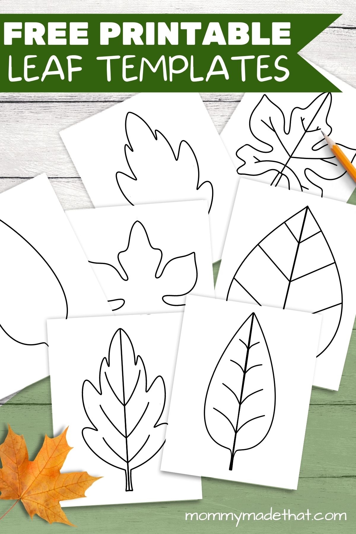 Printable Large Maple Leaves Printable Large Maple Leaves