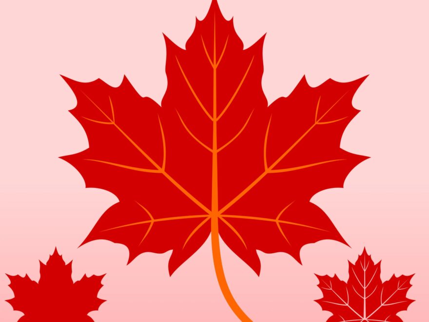 Maple Leaf SVG File For Cricut Fall Leaf Clipart Canadian Maple Leaves DXF Canada Maple Leaf Silhouette Autumn SVG Fall Printable