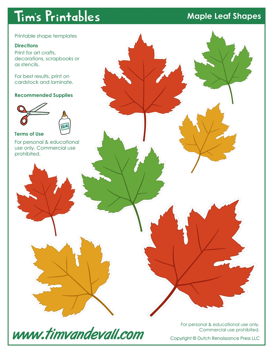 Maple Leaf Templates Tim s Printables