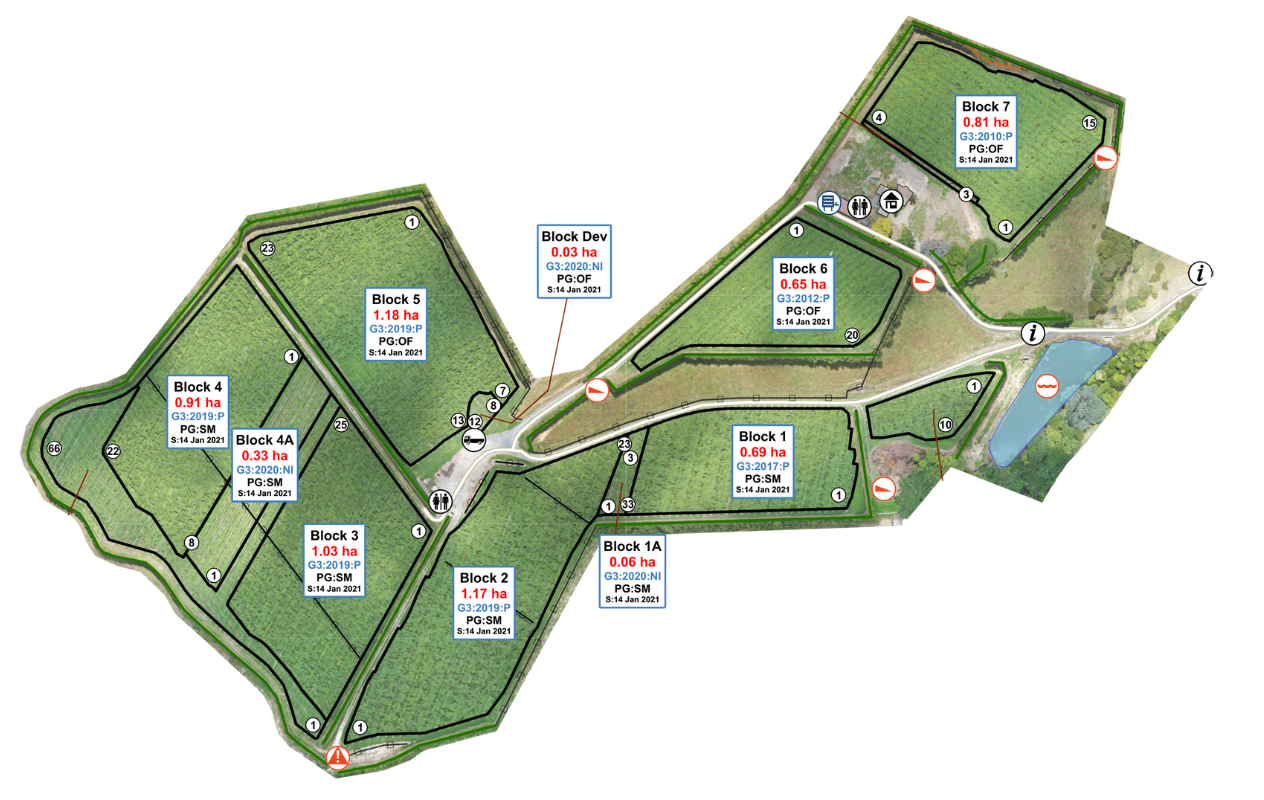 Free Printable Orchard Map