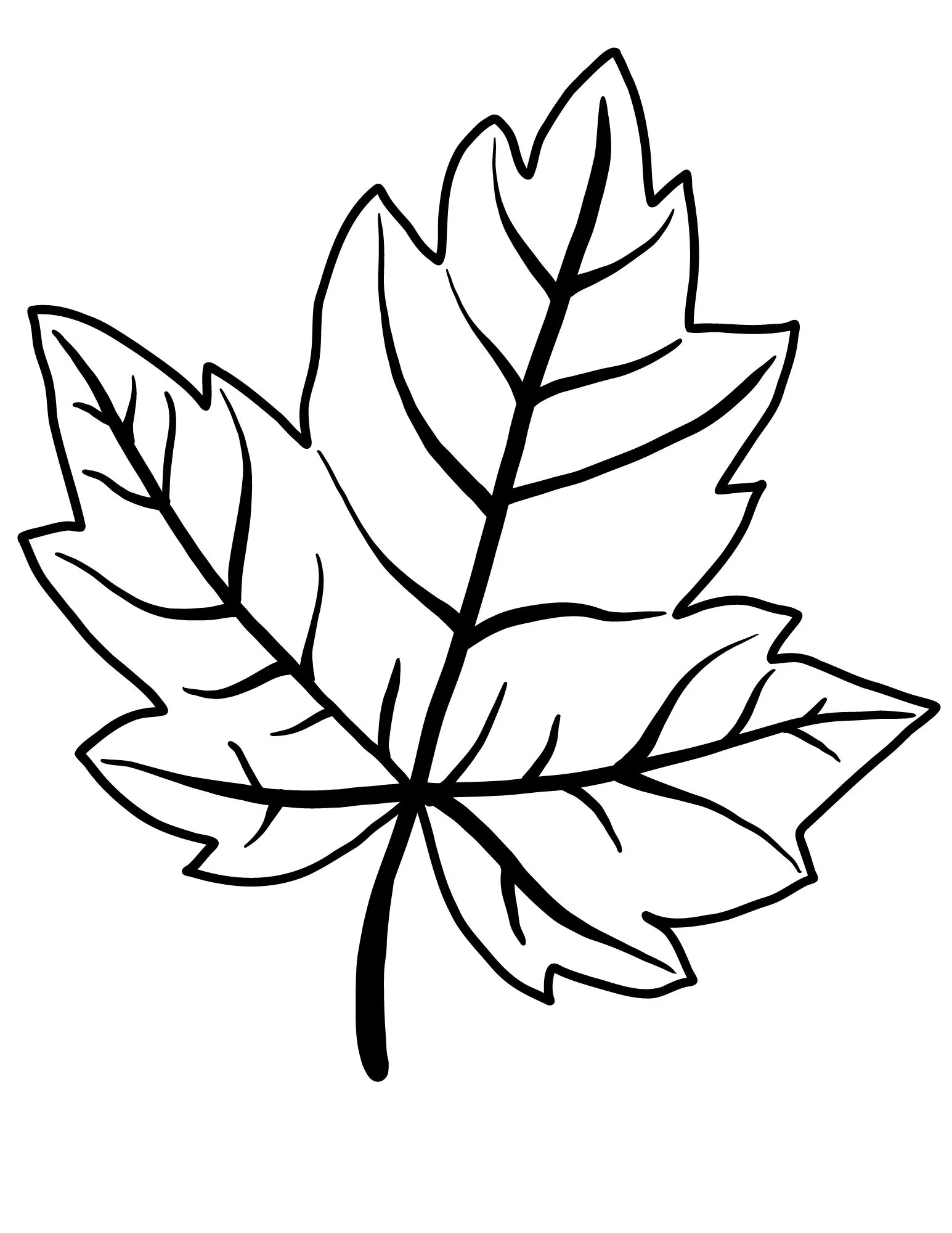 Printable Leaf Outline Templates Crafty Morning Printable Leaf Outline Templates Crafty Morning