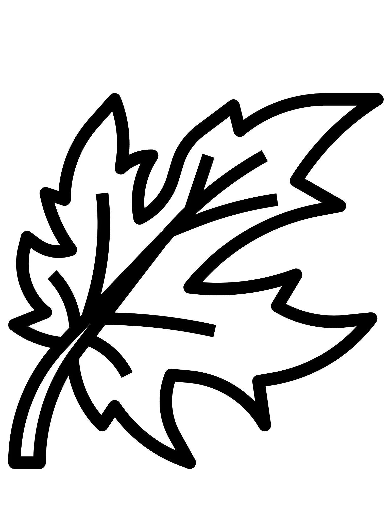 Printable Leaf Outline Templates Crafty Morning