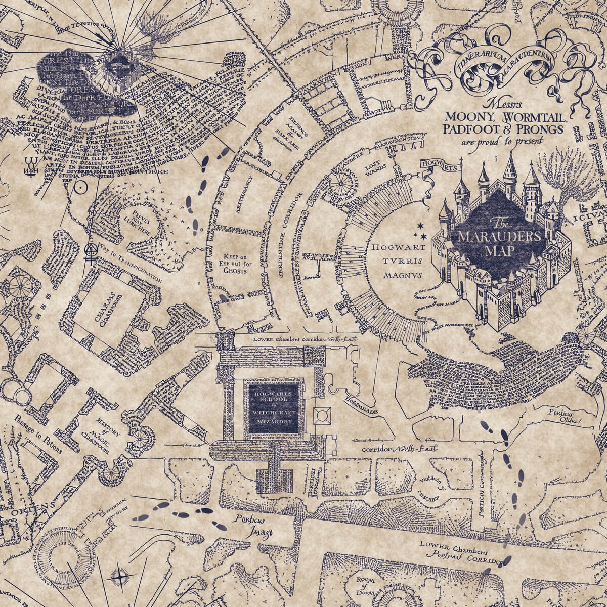 RMK12436RL Harry Potter Marauders Map Peel Stick Wallpaper Worksheets Library
