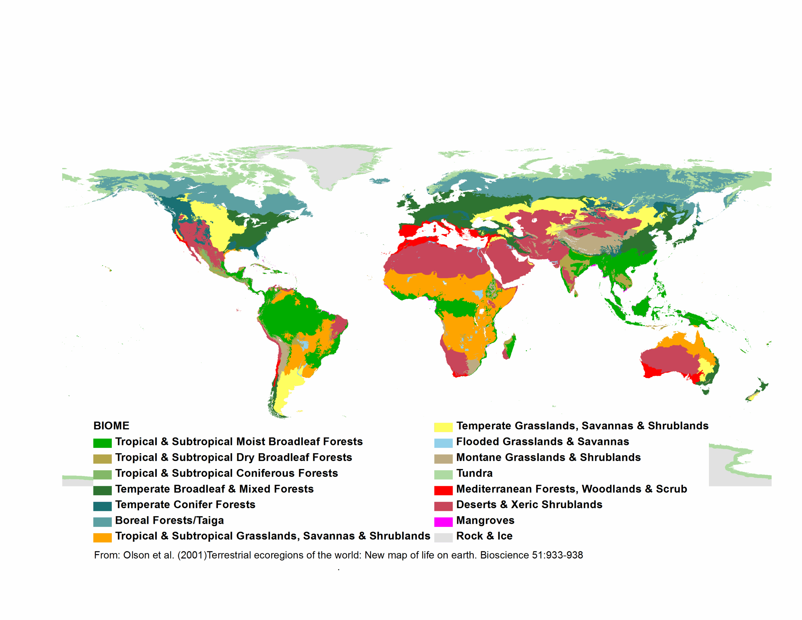 World Biome Map Printable