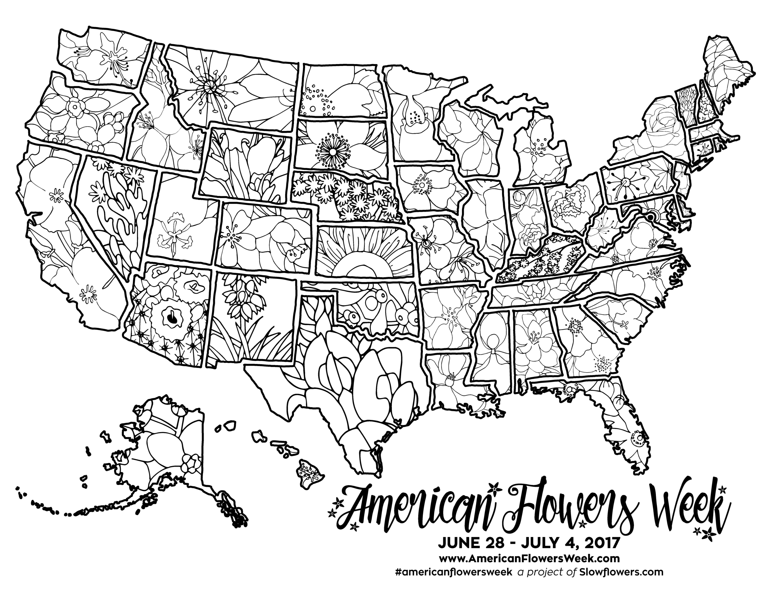USA Map Of State Flowers Free Promotional Material For American Flowers Week American Flowers Week