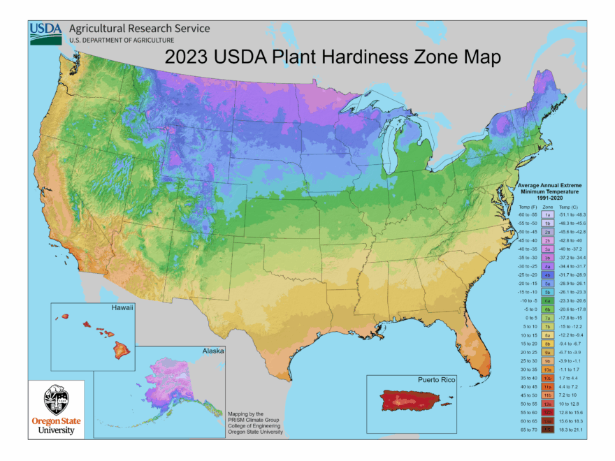USDA Updates The Plant Hardiness Zone Map In 2023 BYGL