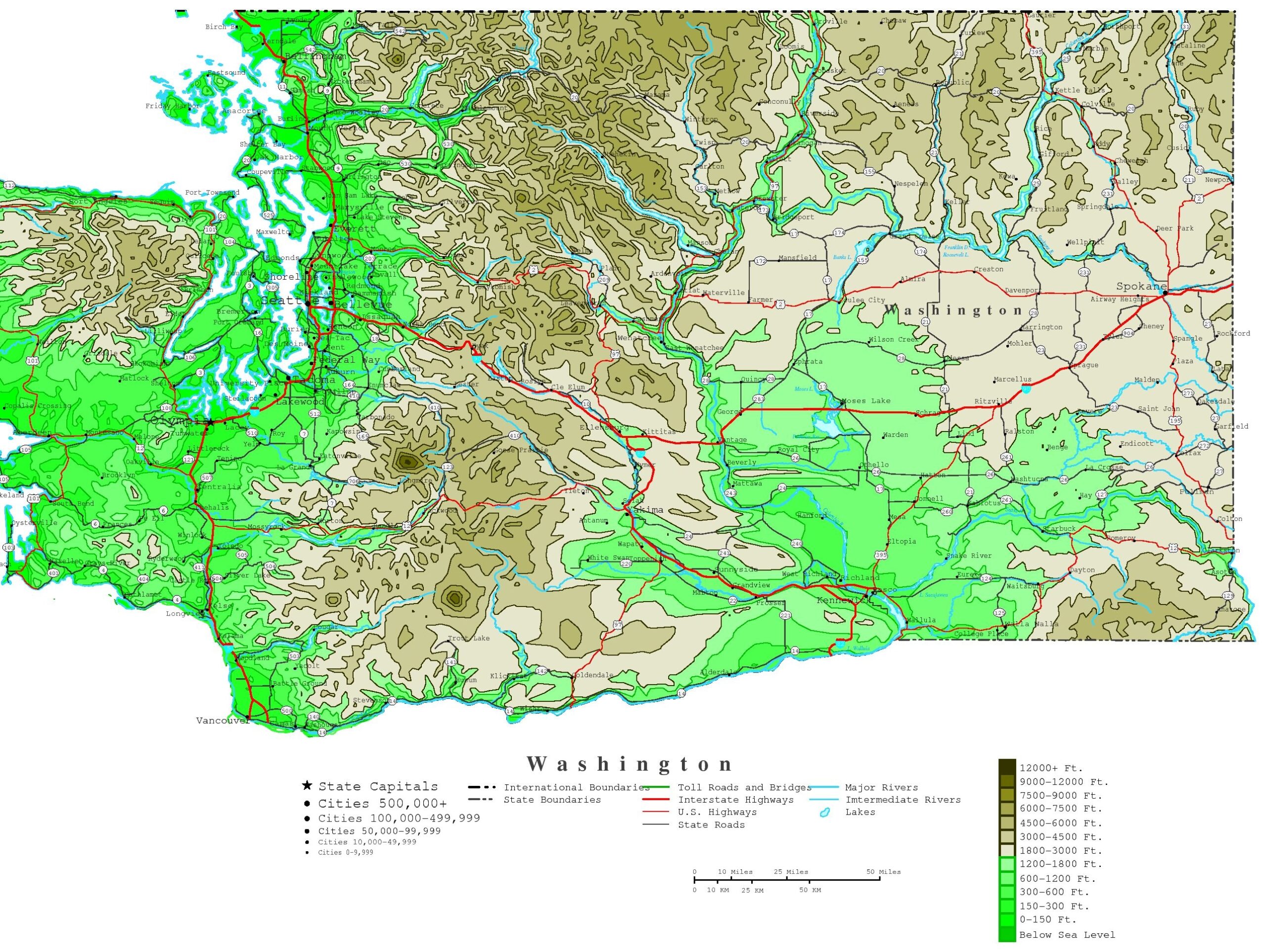 Free Lake Griffin Topo Map Printable
