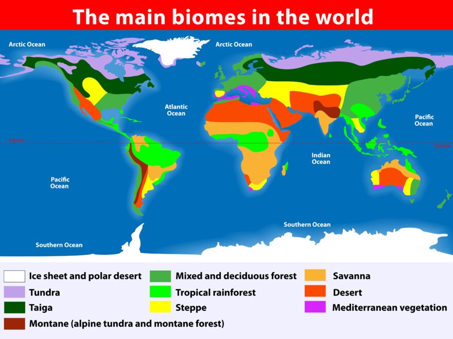 World Biomes KidsPressMagazine